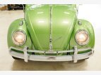 Thumbnail Photo 133 for 1960 Volkswagen Beetle